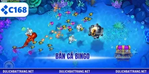 bắn cá bingo